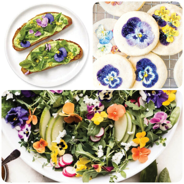 three up collage of prepared recipes from this article.