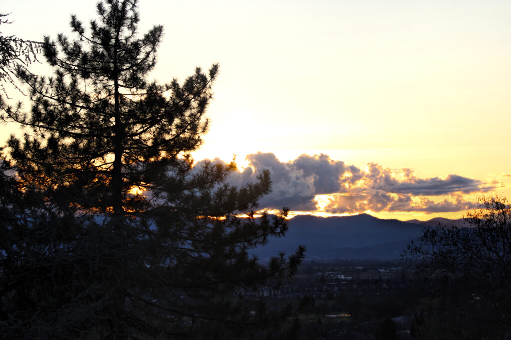 photo of a sunset over distant mountains with a conifer tree on the left of the photo.