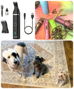 three up collage. two photos of dog trimmers, scissors, etc. bottom photo of three newly trimmed dogs.