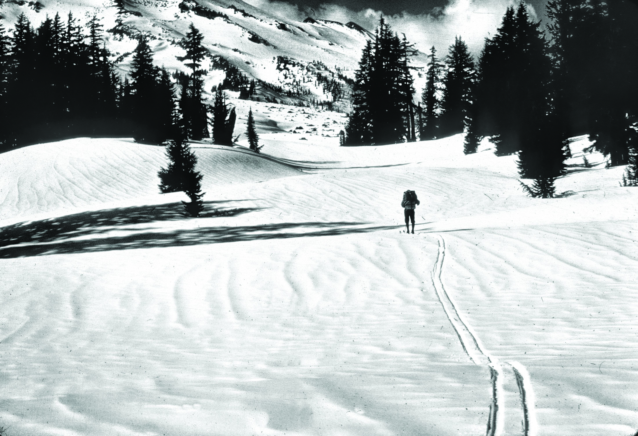 black and white photo of a man cross country skiing across a snowy meadow. there is a snow covered mountain in the background and conifer trees around.