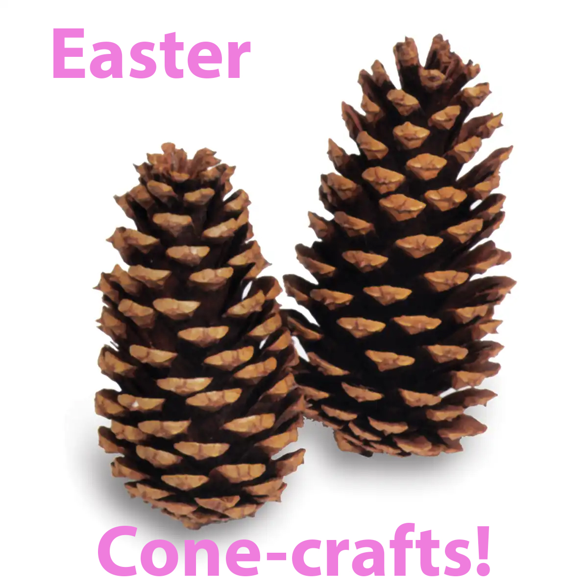 two pine cones with words "Easter cone-crafts"