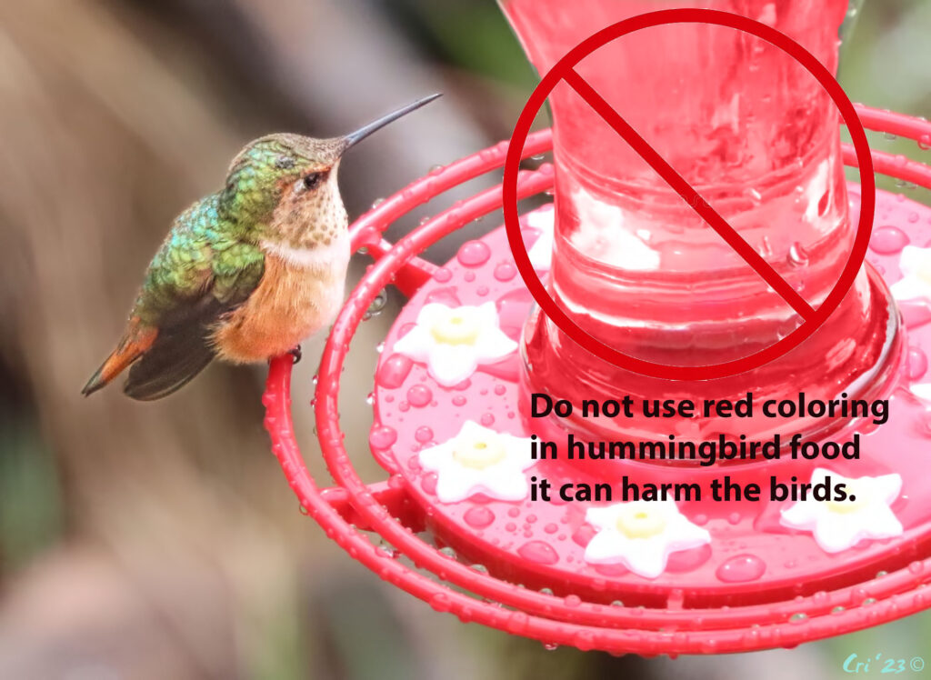photo of a female hummingbird sitting on a disc-type hummingbird feeder. the sugar water is colored red and there is a circle-slash over it with the words "do not use red coloring in hummingbird food it can harm the birds."