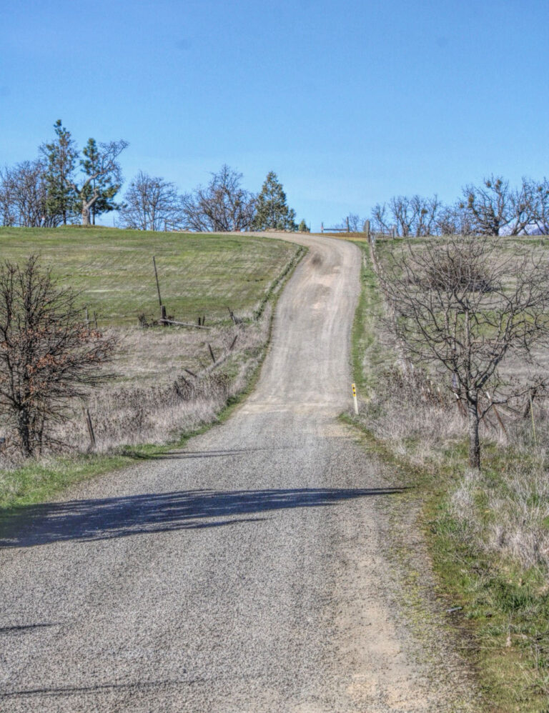 photo of a rural dirt and gravel road surrounded by open fields.