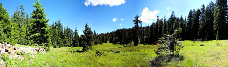 panorama photo of huckleberry gap.