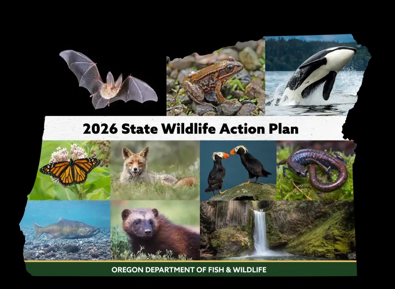 graphic of the state of oregon with a collage of wildlife inside the outline.