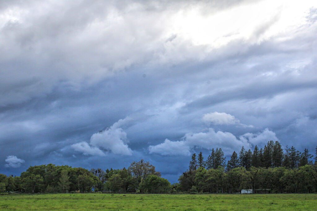 photo of storm clouds with a row of trees in the back of the photo and a green field in front.