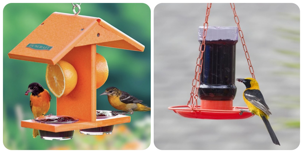two up collage of types of fruit and jelly feeders for wild birds.