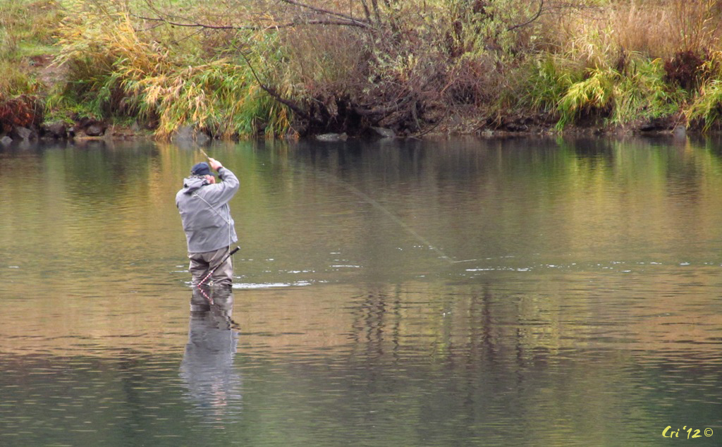 photo of an angler fly fishing in a calm section of river.