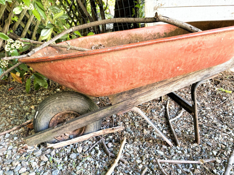 photo of a worn out wheelbarrow.