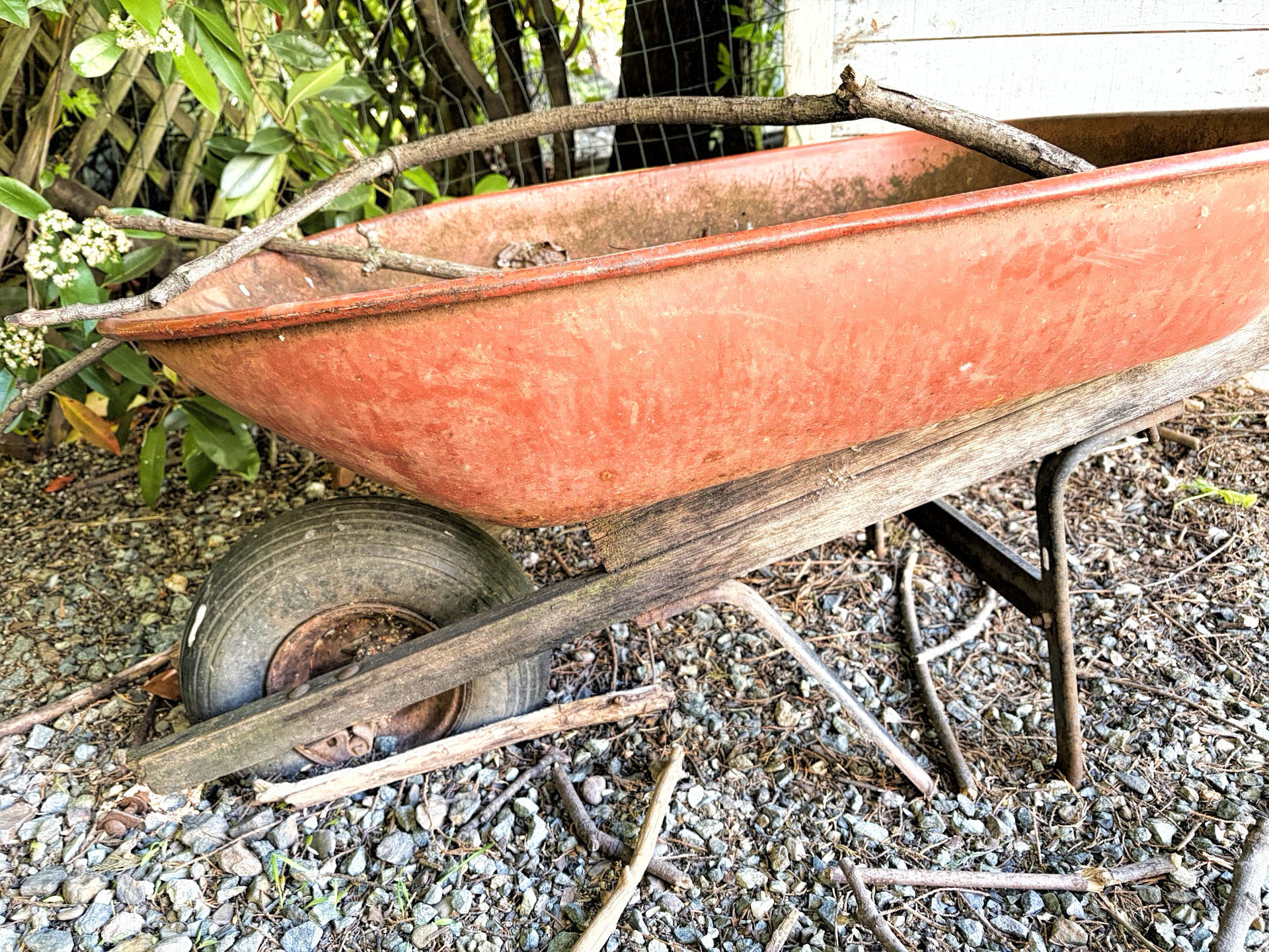 photo of a worn out wheelbarrow.