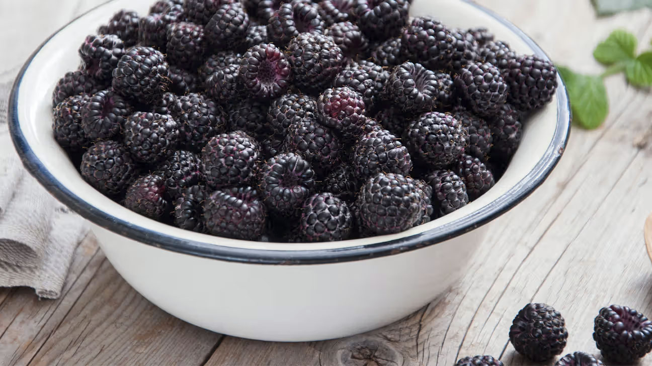 photo of black raspberries