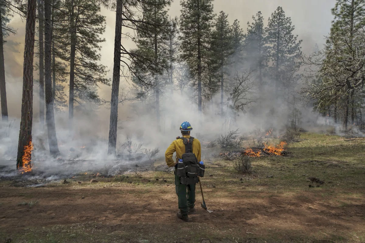 photo of a firefighter in front of a small wildfire.