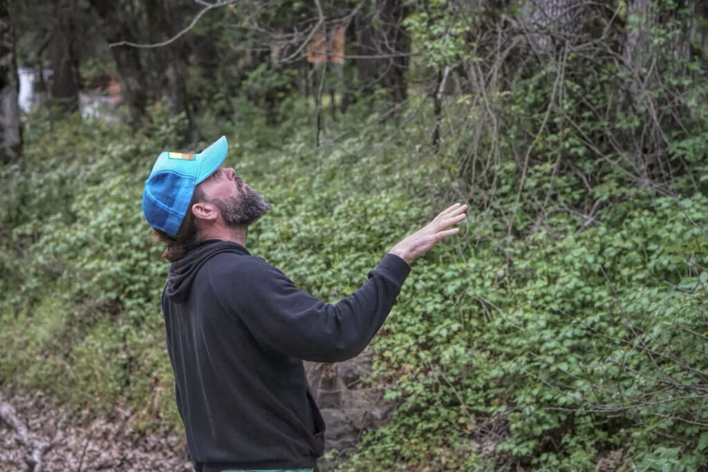 photo of a man standing in a forest looking up at trees.