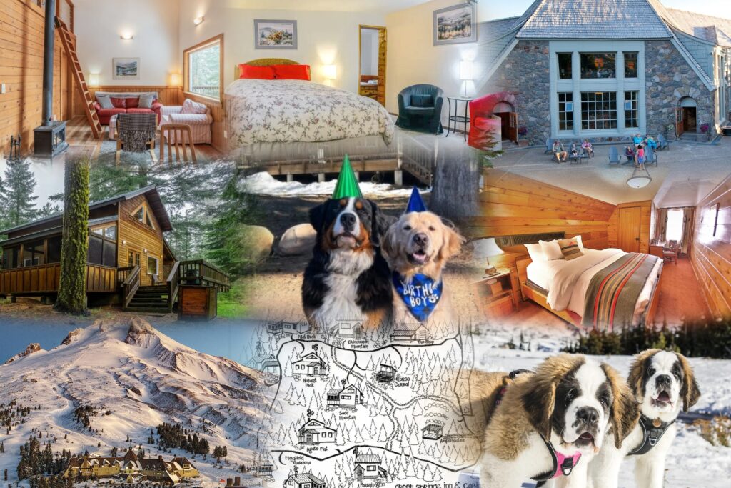 collage of the hotels in the article and some individual rooms.