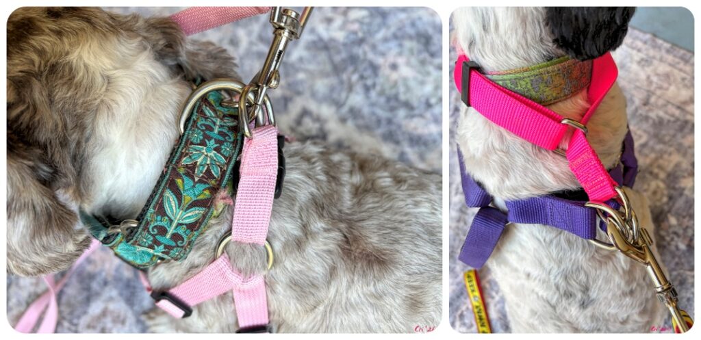 two up collage of two dogs wearing harnesses and collars. The leach is clipped through both the harness rings and the collar ring.