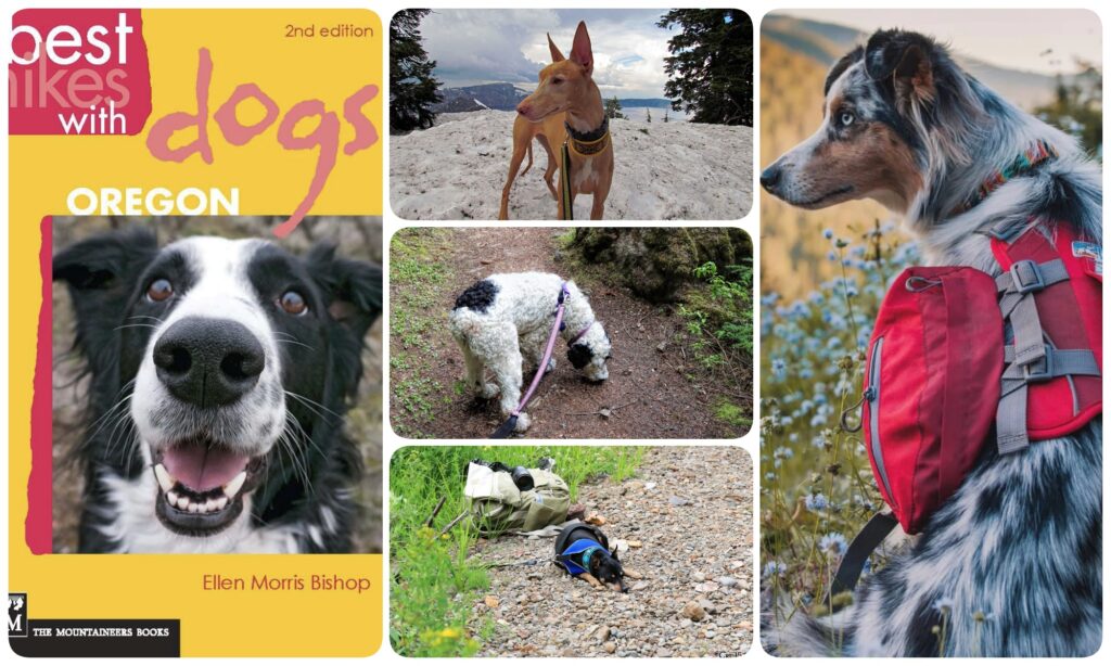 five up collage of dogs on hikes and a book about best hikes with dogs in oregon.