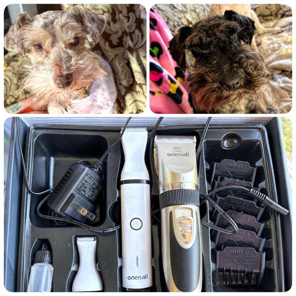 three up collage of two freshly groomed dogs and a kit with a regular trimmer and paw trimmer.