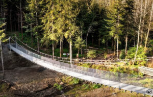 photo of a suspended footbridge in a wooded area.