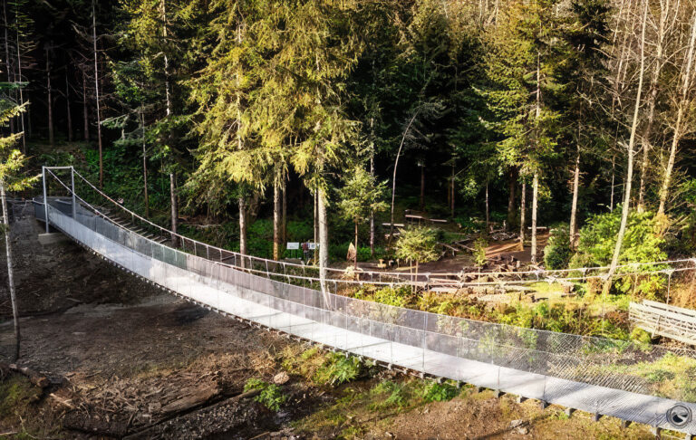 photo of a suspended footbridge in a wooded area.