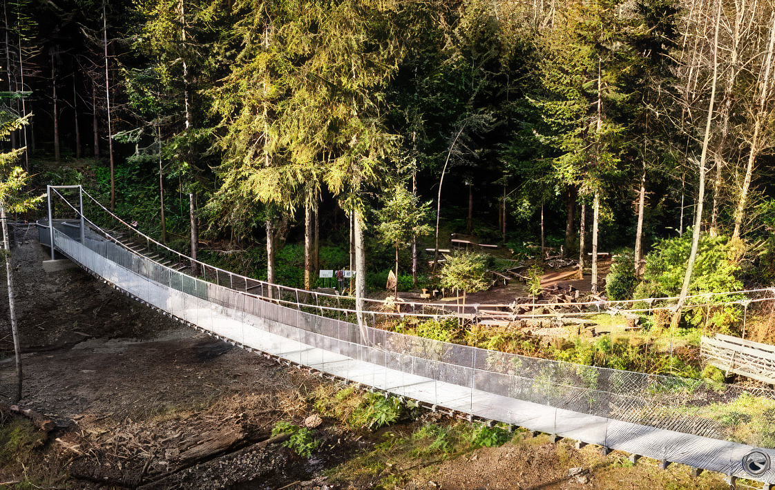 photo of a suspended footbridge in a wooded area.