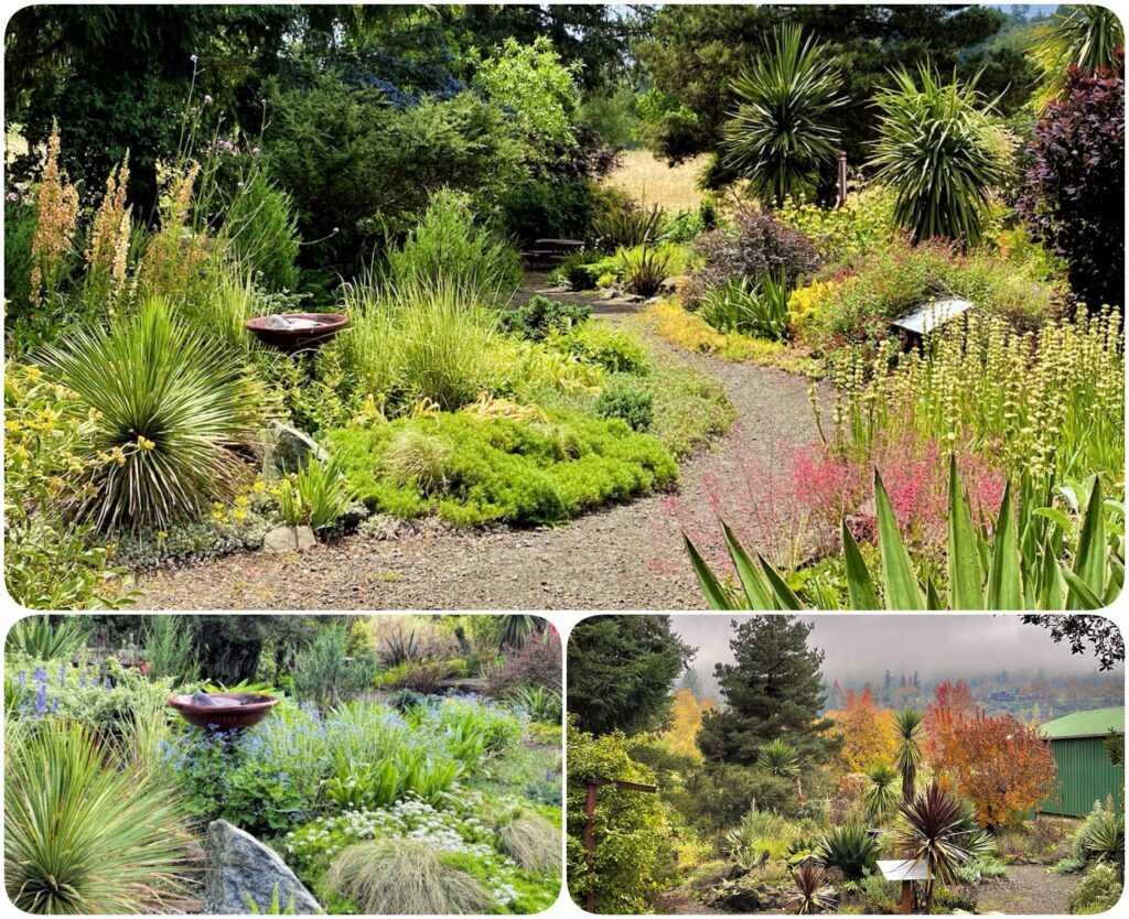 three up collage of of a xeriscape garden in different seasons.