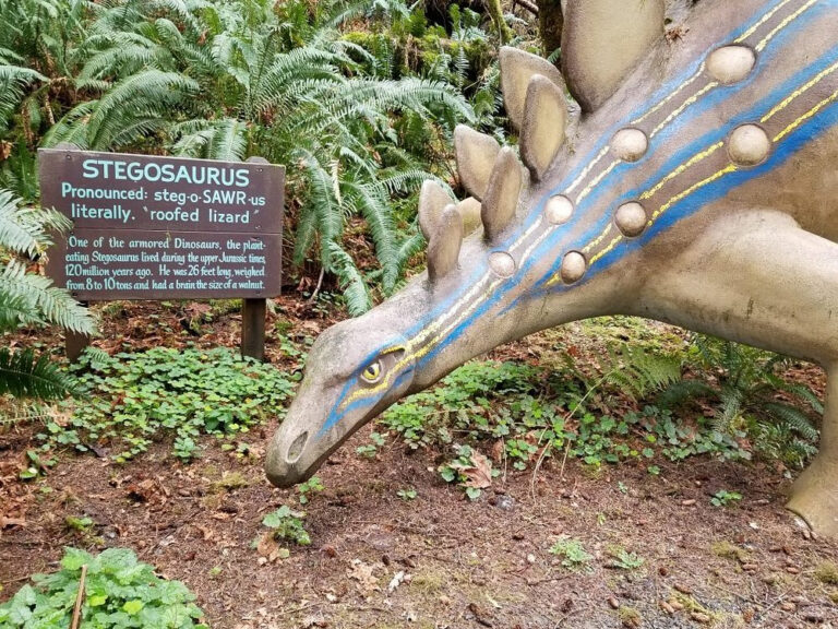 photo of the front half of a stegosaurus statue along with the informational sign at prehistoric gardens park.
