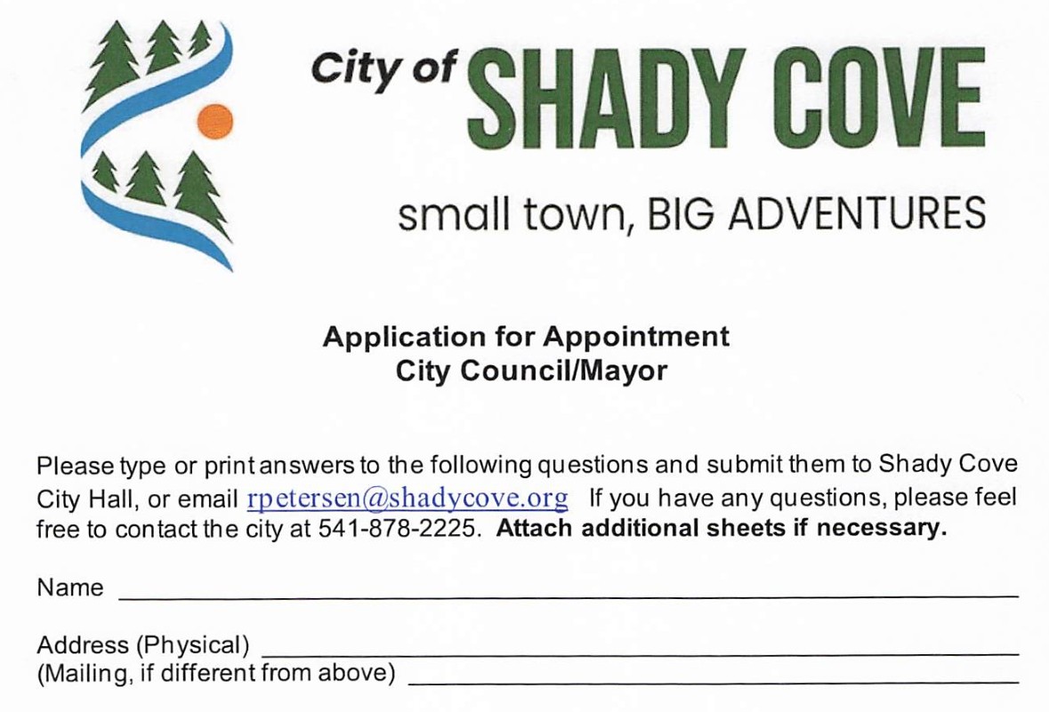 screen grab of the top of a council application form.