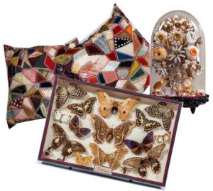 photo of victorian crafts, quilted pillows, dried flower arrangement anda riker's mount of butterflies and moths.