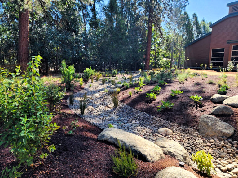 photo of a pollinator garden with new plants.