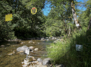photos of signs along a river reading "Dead line" and "no fishing"