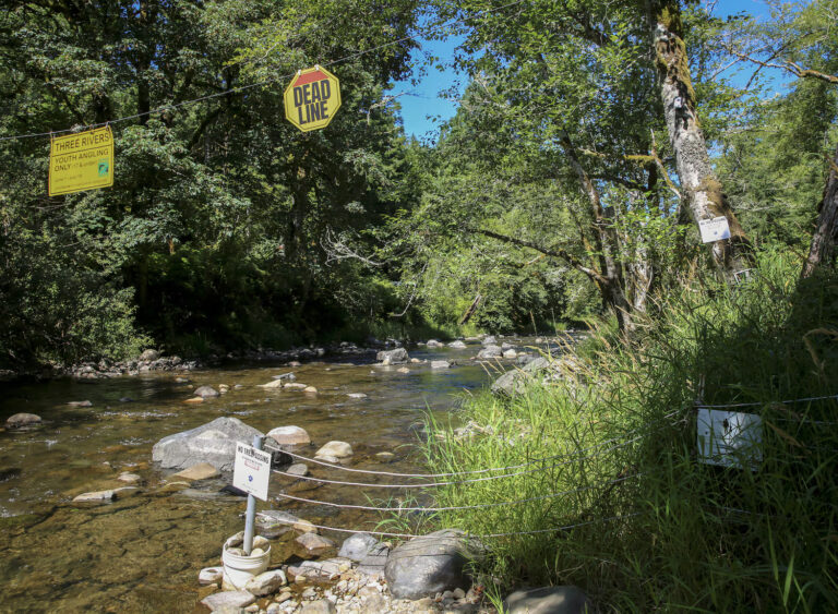 photos of signs along a river reading "Dead line" and "no fishing"