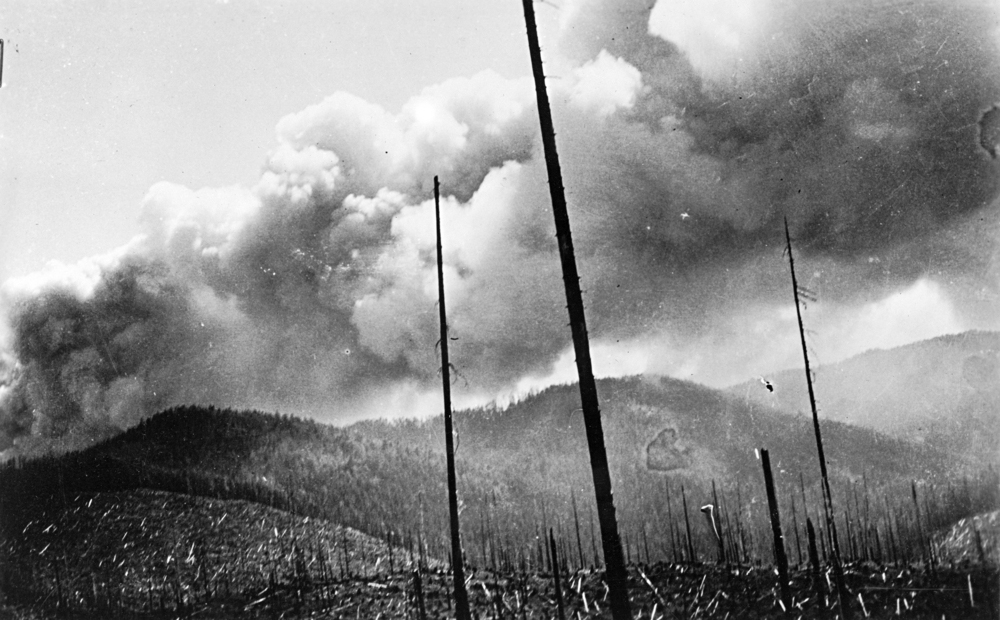 black and white photo of a wildfire.